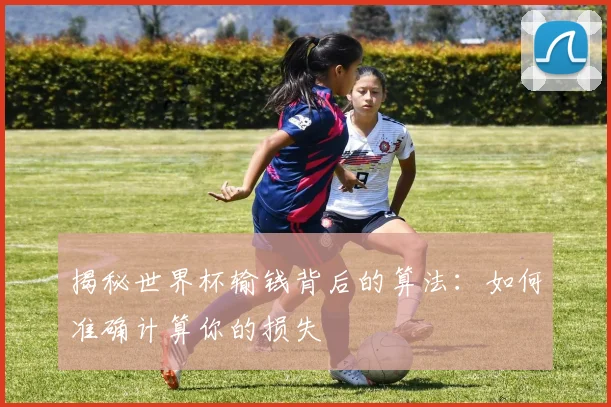 揭秘世界杯输钱背后的算法：如何准确计算你的损失